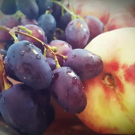 Sole Mare Sale Bed & Breakfast